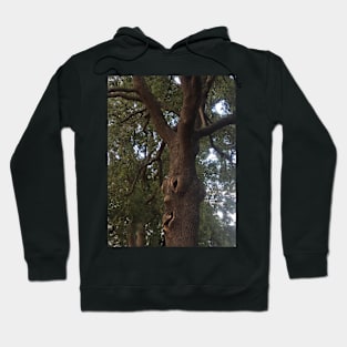 Trees Have Feelings! Hoodie